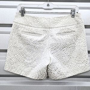 NWOT The Limited Cream Metallic Silver Chino Shorts